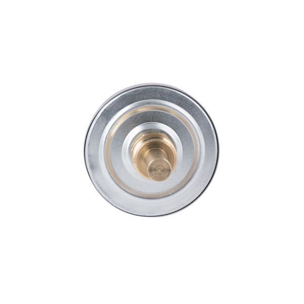 Термометр Thermo Alliance Standart 120&deg;С 63 мм 1/2", заднє підключення SD17440MM SD00021365 фото